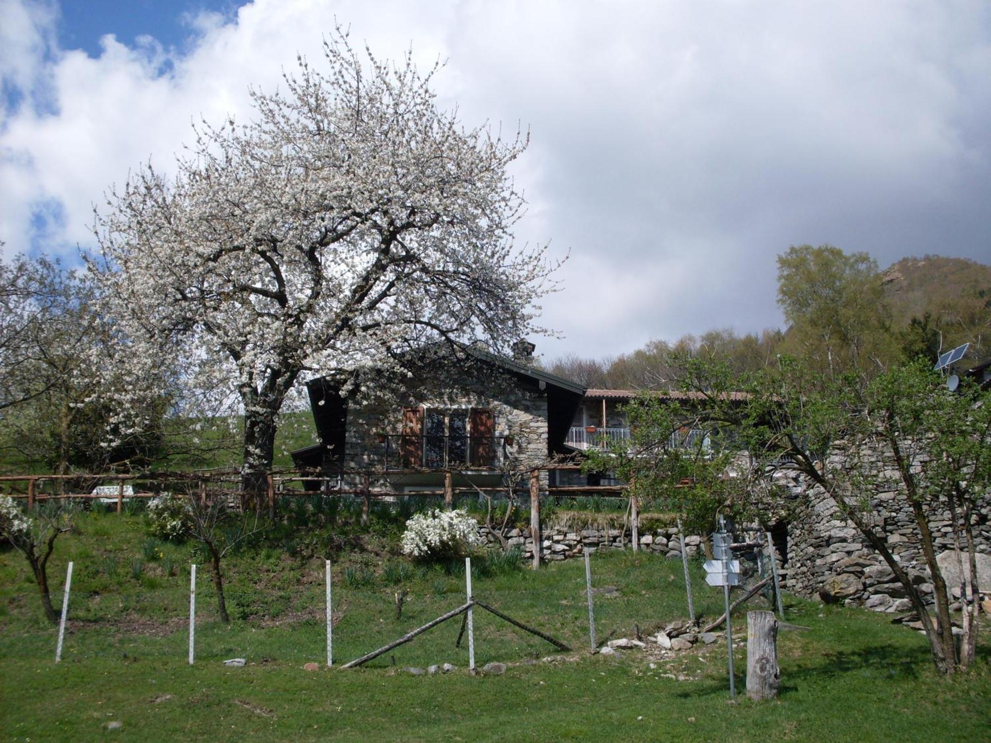 Agriturismo Da Attilio Cannobio Dış mekan fotoğraf
