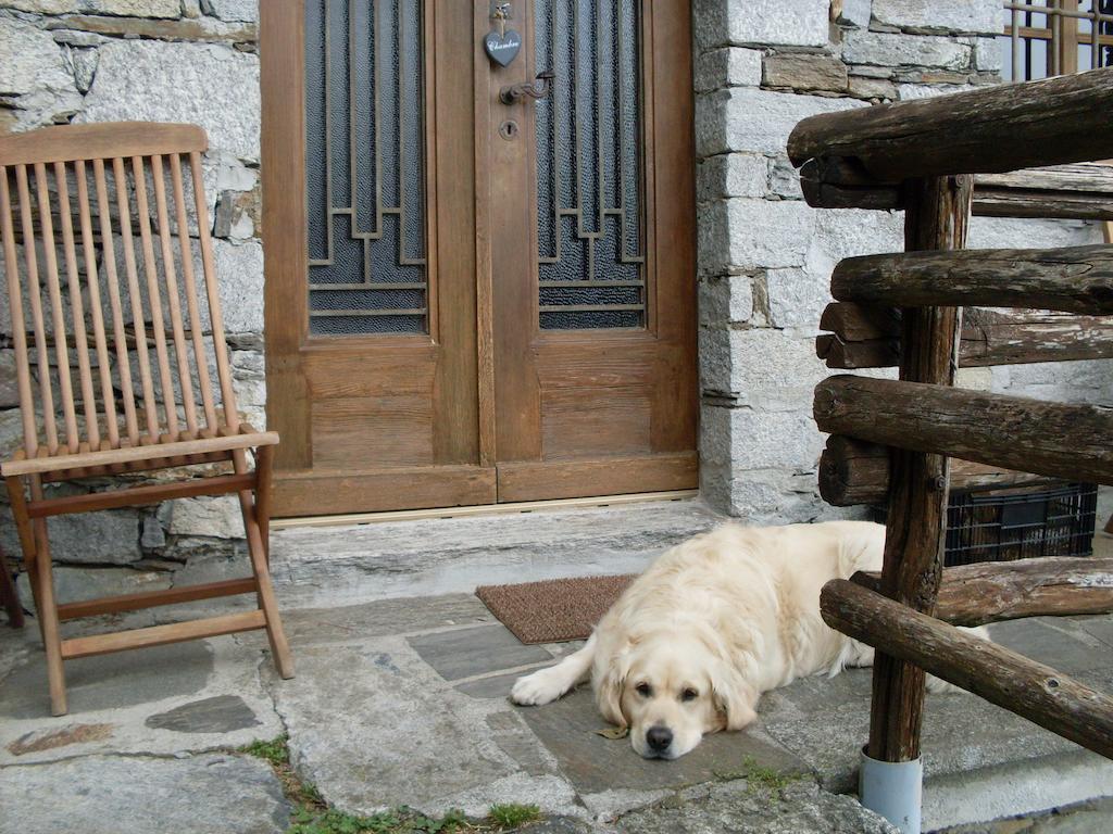 Agriturismo Da Attilio Cannobio Oda fotoğraf