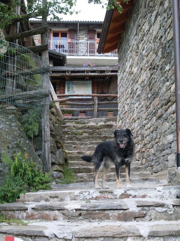 Agriturismo Da Attilio Cannobio Dış mekan fotoğraf